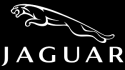 JAGUAR 22